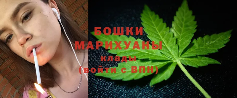 Бошки Шишки SATIVA & INDICA  купить наркоту  Лукоянов 